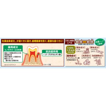 이쿠하 c 100g 고바야시제약