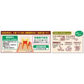 생엽 무연마 타입 95g 고바야시제약