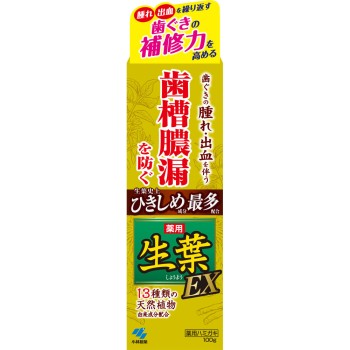 이쿠하 EX 100g 고바야시제약