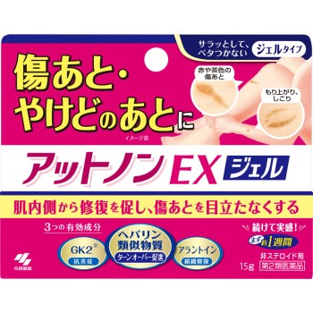 앳논EX 젤 15g 고바야시제약