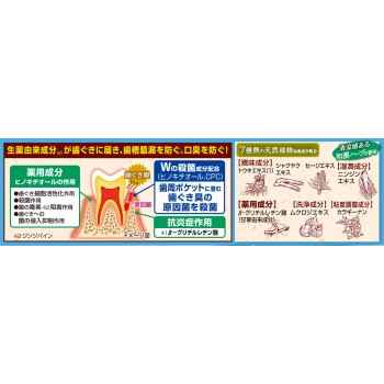 생잎I 숨상쾌실감 100g 고바야시제약