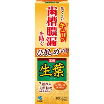 히키시메 이쿠하 hb 100g 고바야시제약