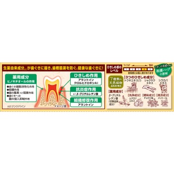 히키시메 이쿠하 hb 100g 고바야시제약