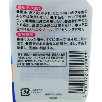 파샬 덴트 세정 폼 250ml 고바야시제약