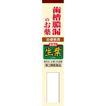 생엽 구강 도포약 20g 고바야시제약
