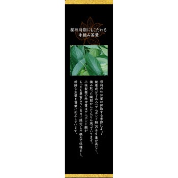 고바야시제약의 농축 두충차 30봉 고바야시제약