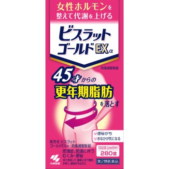 비스랏 골드 EX알파 방풍통성산정 280정 고바야시제약