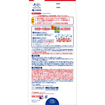 네츠사마 시트 강냉감 어른용 12장 코바야시 제약