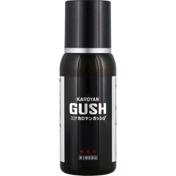 NF카로얀갓슈 240ml 다이이치산쿄 헬스케어