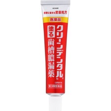클린 덴탈 바르는 치은염약 16g 다이이치산쿄헬스케어