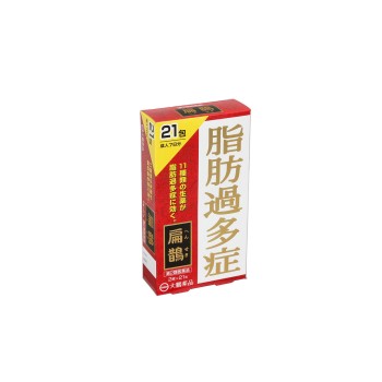 헨쟉 21포 다이호약품