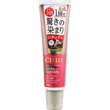 시에로 컬러 트리트먼트 리터치용 다크 브라운 140g 호유