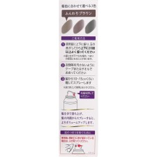 비겐 그레이 스타일 투톤 커버 스프레이 부드러운 브라운 95g 호유