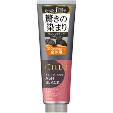 시에로 컬러트리트먼트 전체용 애쉬블랙 230g 호유