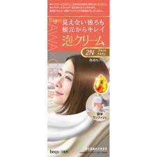 비겐 폼 크림 컬러 2N 브라이트 브라운 90g+5ml 호유