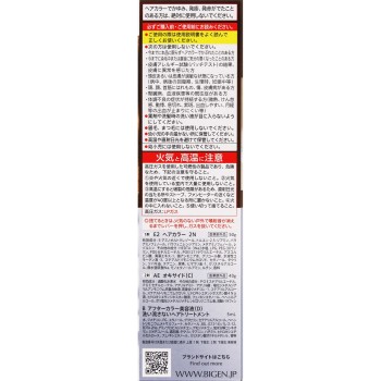 비겐 폼 크림 컬러 2N 브라이트 브라운 90g+5ml 호유
