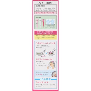 비겐 스피디 컬러 크림 4NA 내추럴리 브라운 40g+40g 호유