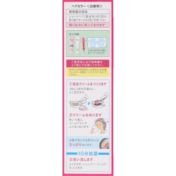 비겐 스피디 컬러 크림 5 브라운 40g+40g 호유
