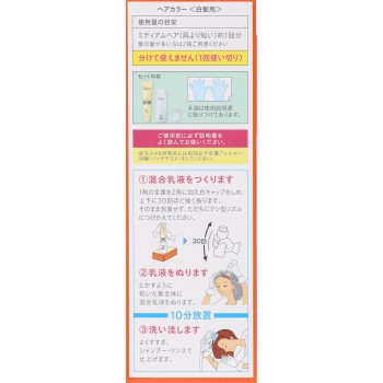 비겐 스피디 컬러 유액 5 브라운 40g+60ml 호유