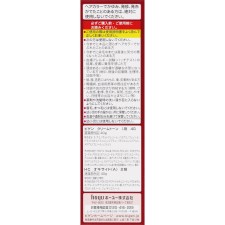 비겐 크림 톤 4G 자연스러운 밤색 40g+40g 호유