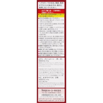 비겐 크림 톤 4G 자연스러운 밤색 40g+40g 호유