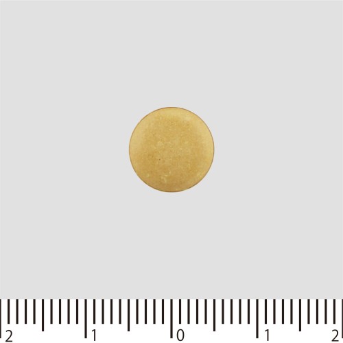 신 로토 방풍통성산정 T 224정 로토제약
