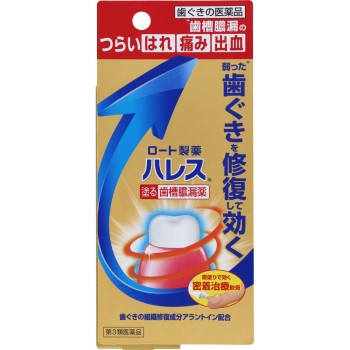 하레스 구강약 15g 로토제약
