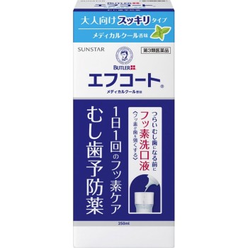 버틀러 에프코트 메디컬쿨향미 250ml 썬스타