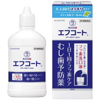 버틀러 에프코트 메디컬쿨향미 250ml 썬스타
