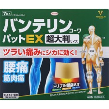반테린코와 패드EX 초대판 7매 코와