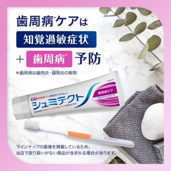 슈미텍트 치주병 케어 95g 헤이리온재팬