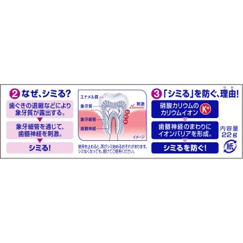 슈미텍트 치주 케어 22g 헤이리온재팬