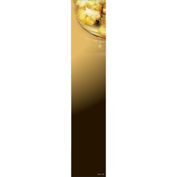 로레알 파리 엘세브 엑스트라 오디너리 오일 엑스트라 리치 피니시 100ml 일본로레알